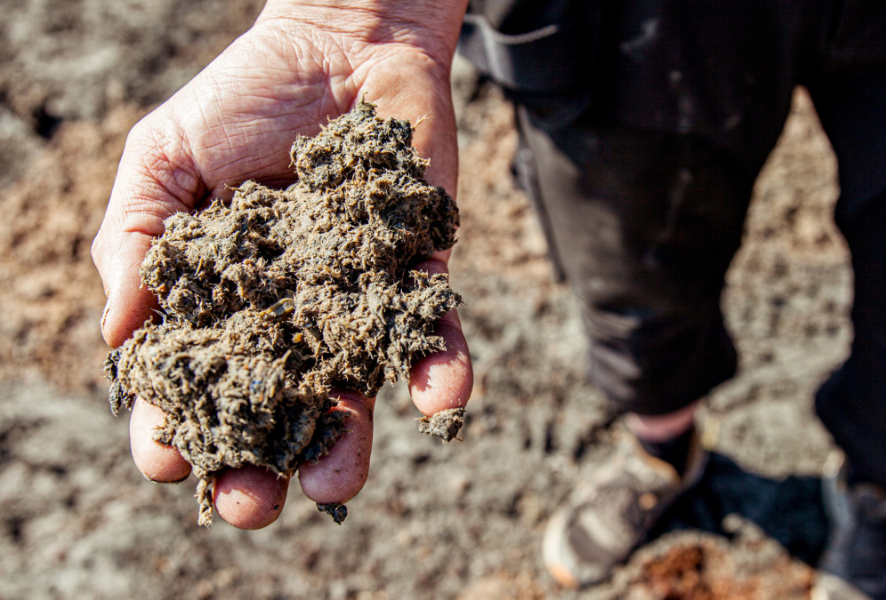 Soilfood Ravinnekuitua kädellä. Soilfood Ravinnekuitu kuuluu Soilfoodin maanparannustuotteisiin.