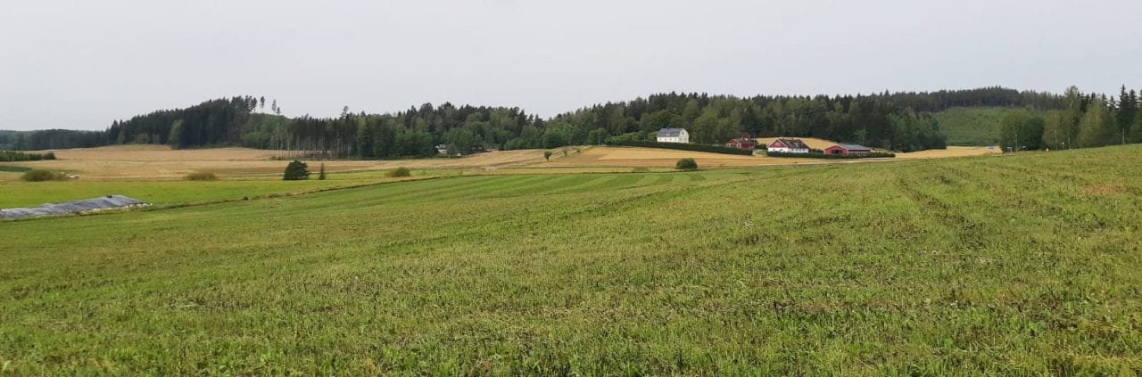 All-In -blogi. Malinien luomutila Vihdissä on mukana Carbion Action -hankkeessa.