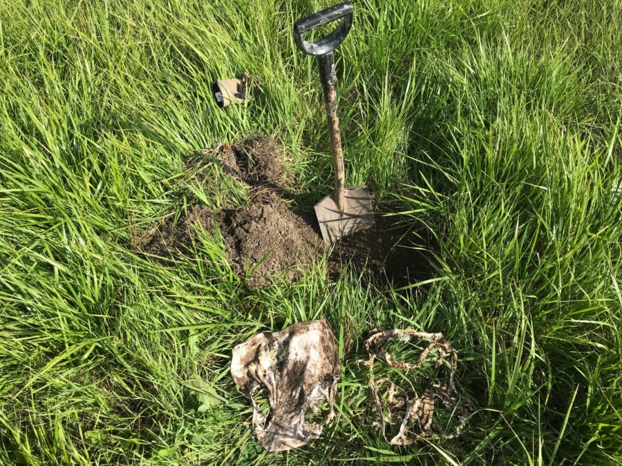 Mathias Weckströmin kilpailukalsareiden kauvuupaikka vuoden 2019 kalsarihaasteessa. Kalsarit ovat maatuneet todella hyvin 2,5 kuukaudessa.