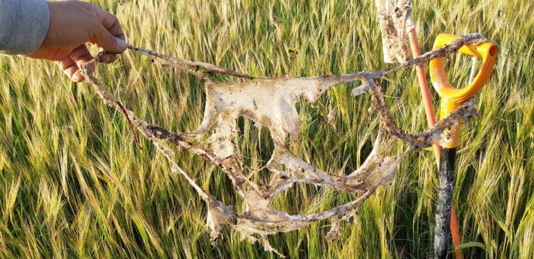 Sampo Järnefeltin maasta kaivetut puuvillaiset kalsarit ovat maatuneet todella hyvin 2019 #kalsarihaasteessa.