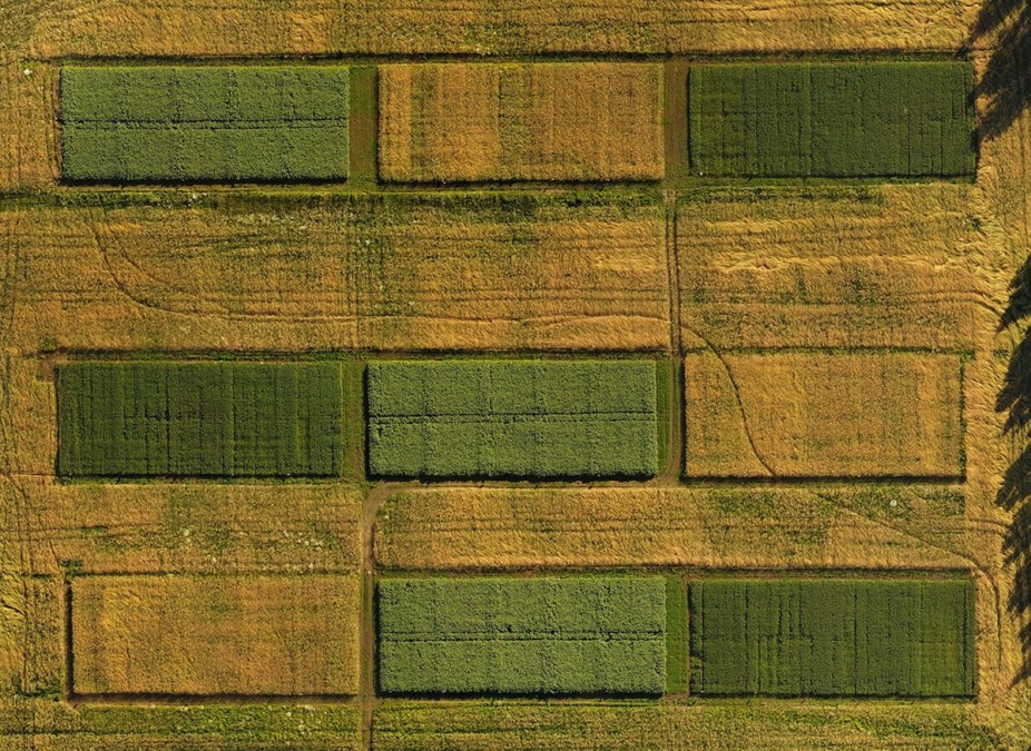 Ilmakuva Hykerrys-hankkeen koeruuduista Helsingin Haltialassa.