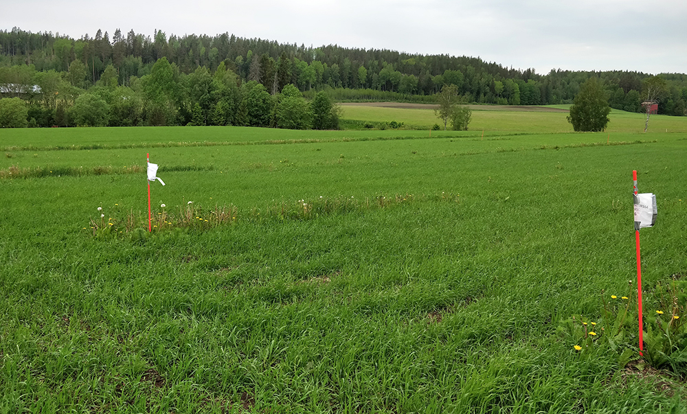Soilfoodin toteuttamissa Nesteravinne-hankkeen tilakokeissa tutkittiin mm. lietteen väkevointiä.