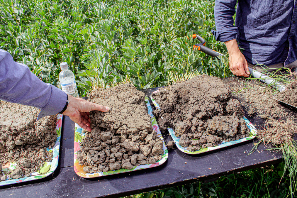 Maanrakenne vertailussa pöydällä olevista eri maanäytteistä.