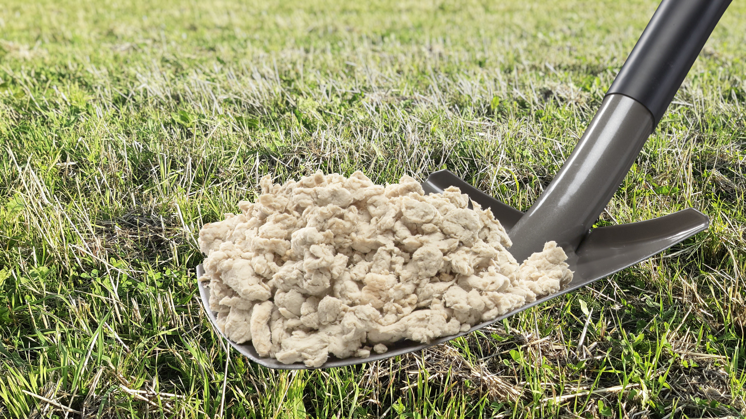 Soilfood Nollakuitu.