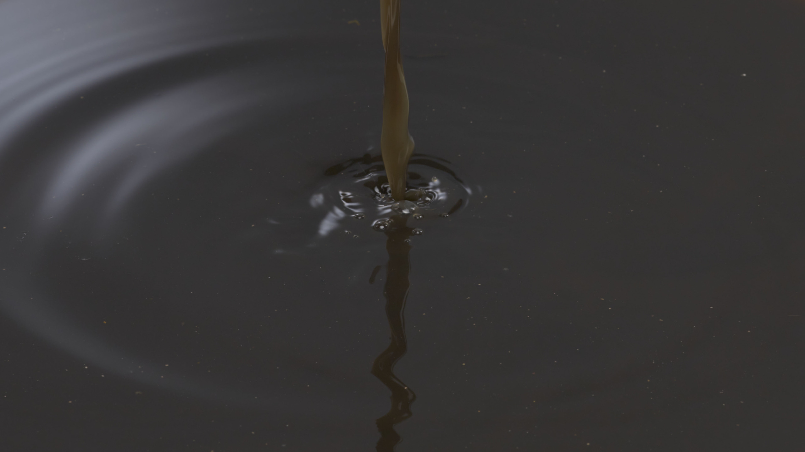 Soilfood Ravinneseos.