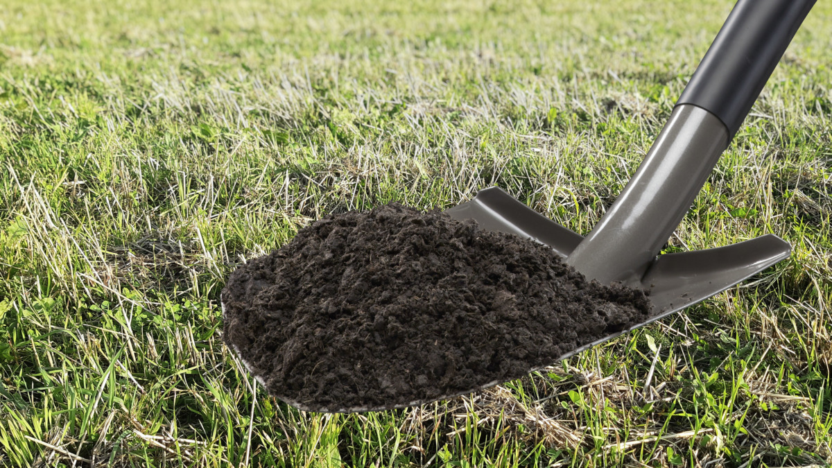 Soilfood Ravinnekuitu.