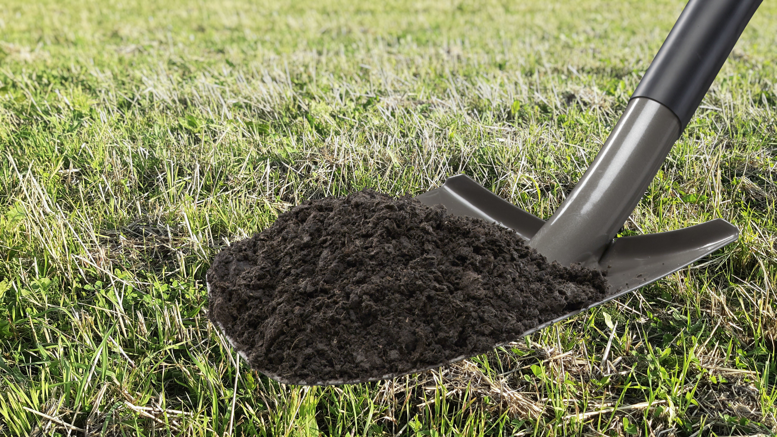 Soilfood Ravinnekuitu.