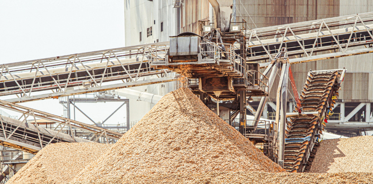 paper and pulp industry