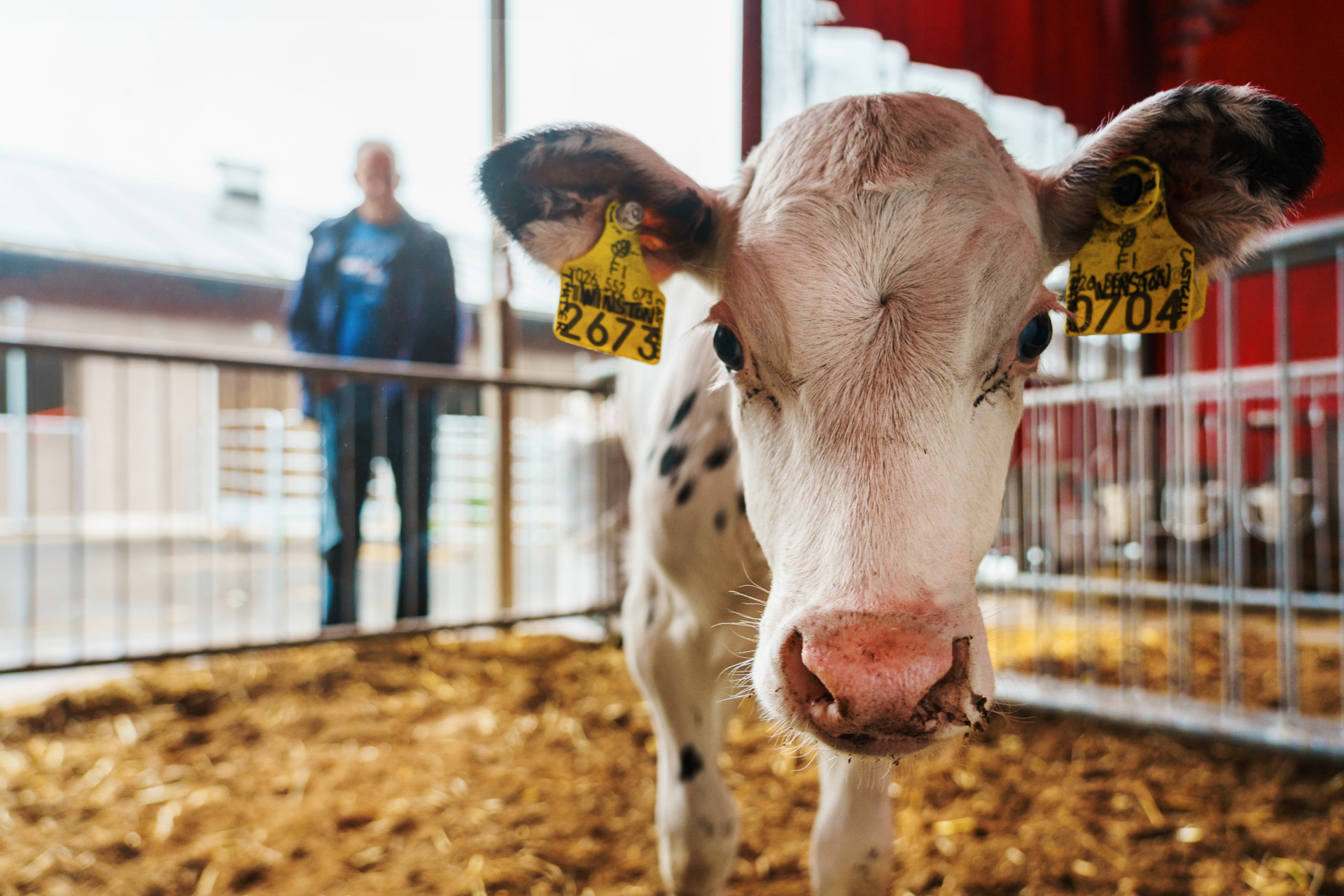 Jaakko Suominen Vennan tila